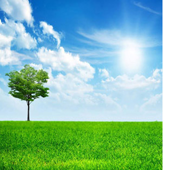 solar roller shutters in Adelaide